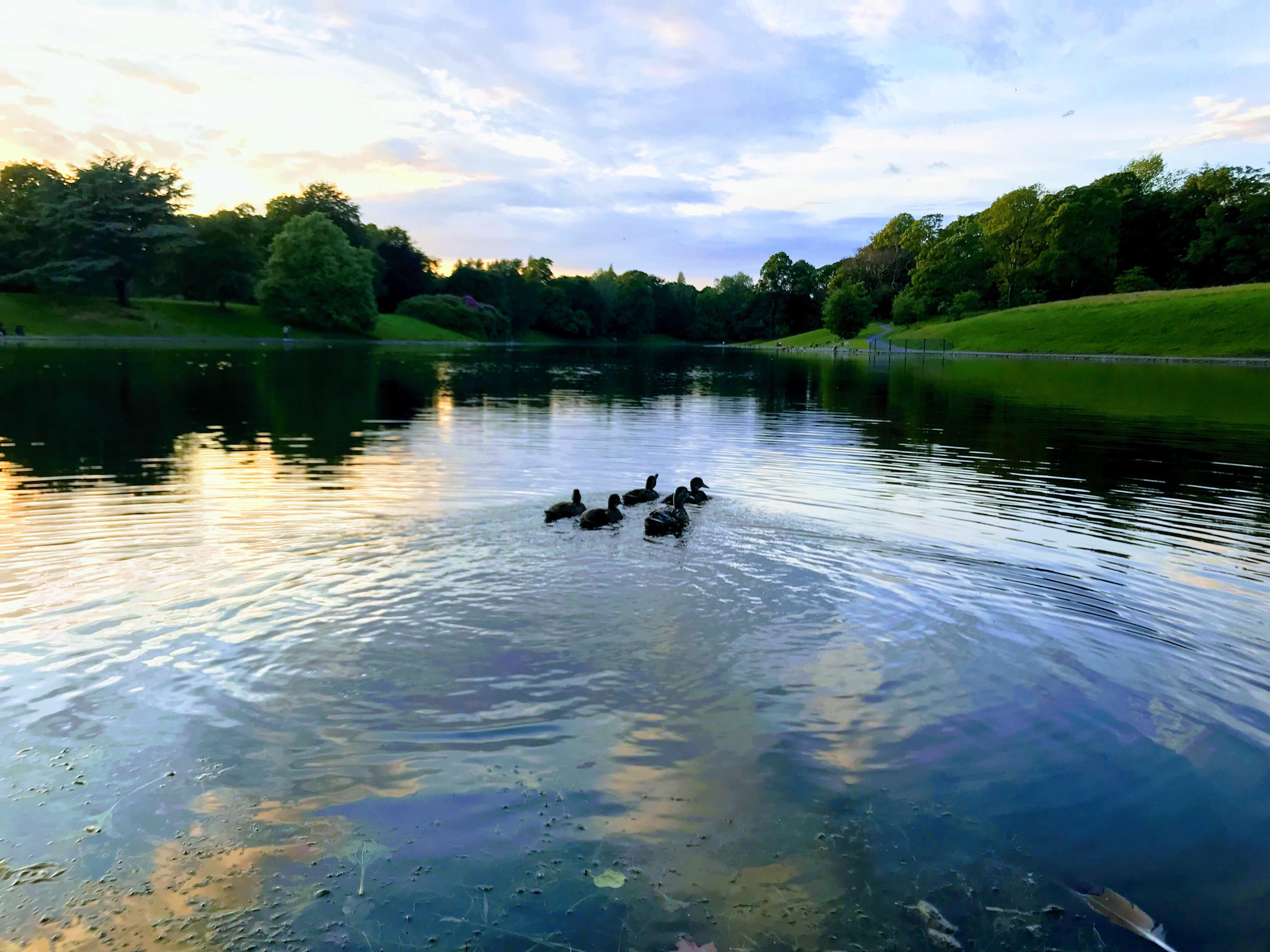 Sefton Park Hotel Liverpool Eksteriør billede